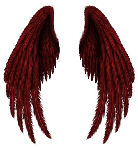 pngwings|50,000+ Free Wing Png & Png Images .
